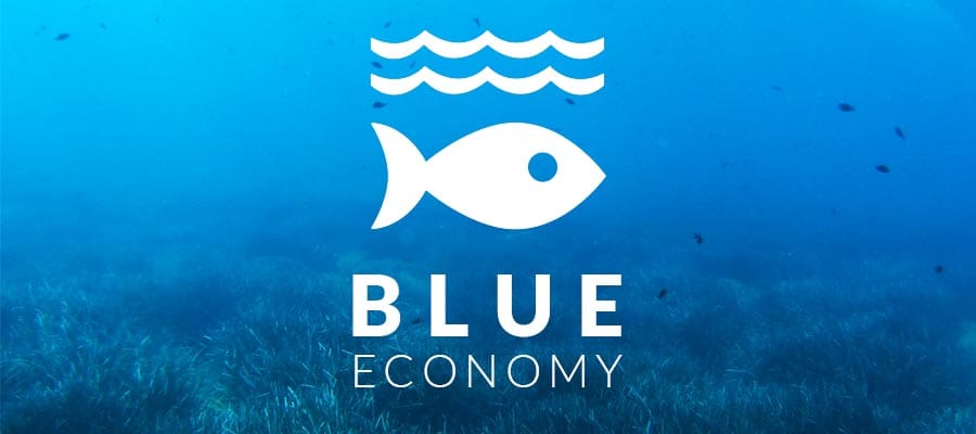 Blue Economy logo