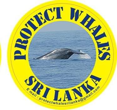 The Urgent Need for Sustainable Marine  Resources Management in Sri Lanka